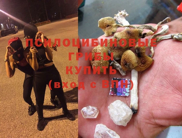 бошки Беломорск