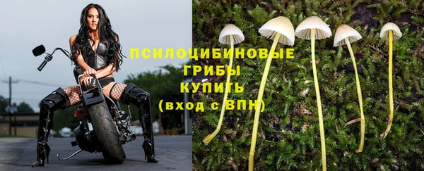 альфа пвп VHQ Белокуриха